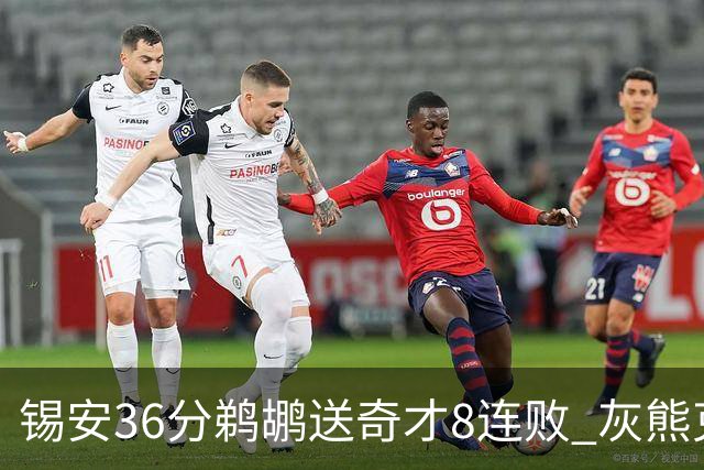 锡安36分鹈鹕送奇才8连败 灰熊克火箭止9连败